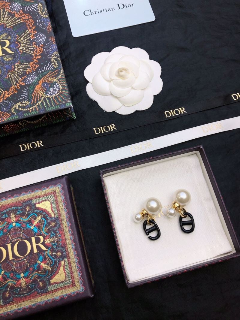 Christian Dior Earrings